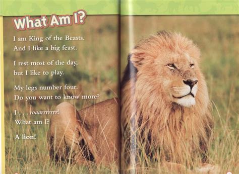 Lions National Geographic Kids Readers Level 1