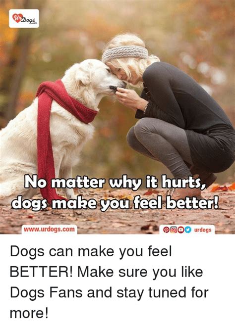 No Matter Why It Hurts Dogs Make You Feel Better