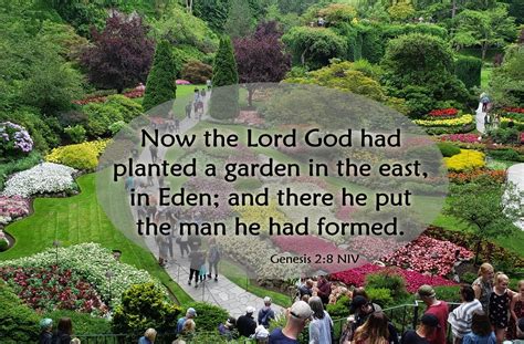 The Theology Of Genesis The Garden Of Eden Genesis 2