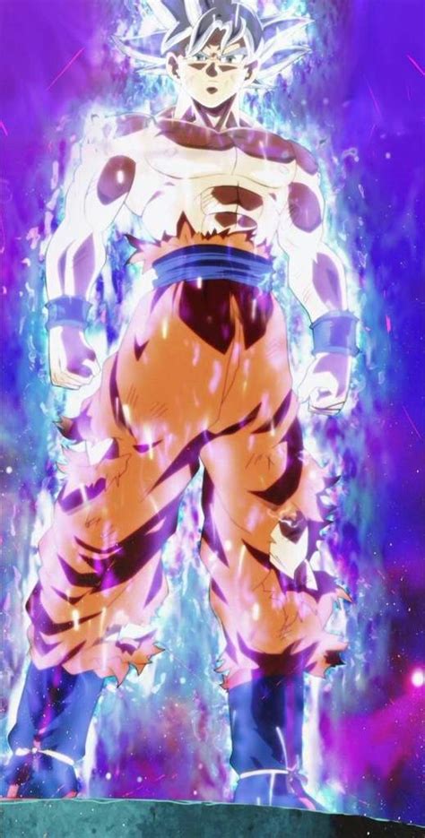 Mastered Ultra Instinct Goku Whole Body Wallpaper Material