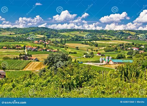 Countryside Farmland Green Scenery In Croatia Stock Photo Image 42831568