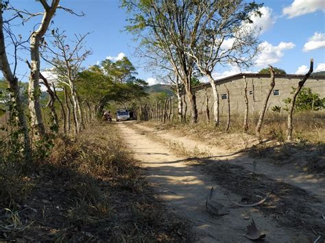 Portal Agreste Violento Jovem Foi Assassinado Na Zona Rural De Agrestina