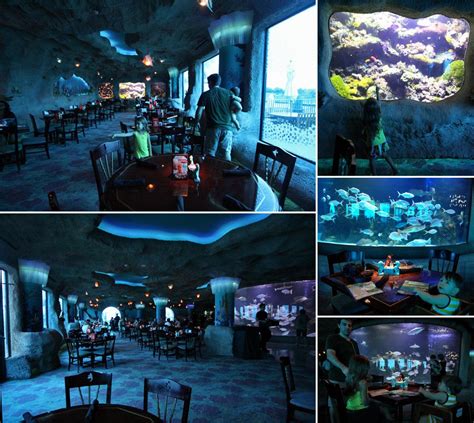 Restaurante Aquarium Jantando No Fundo Do Mar Aquarium Restaurante
