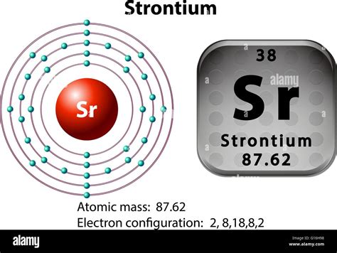 Símbolo Y Diagrama De Electrones Para Ilustración De Estroncio Imagen