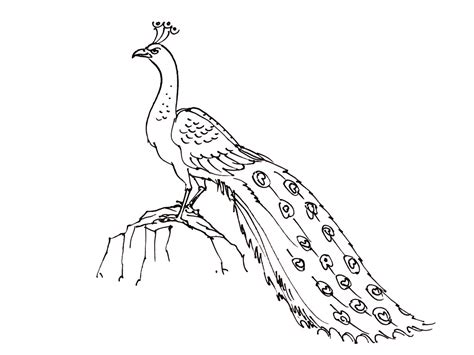 It is easy to get a child interested, and that interest can blossom into a love for birds as the child grows up. Birds free to color for kids - Birds Kids Coloring Pages