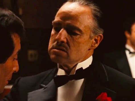 Marlon brando's cat in the godfather: 15 Hollywood stars who didn't accept their Oscars ...