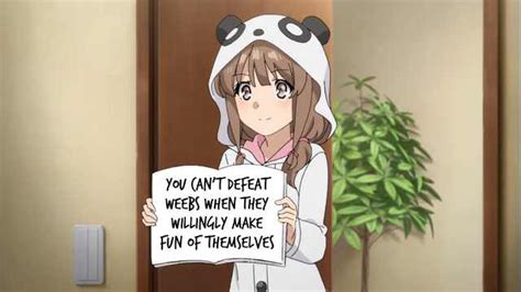 This Is A Fact Anime Girls Holding Signs Know Your Meme