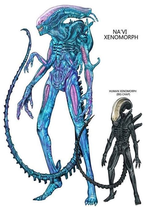 Na Vi Xenomorph Xenomorph Alien Vs Predator Alien Artwork