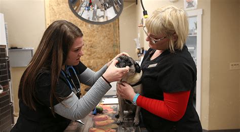 Check spelling or type a new query. Vet Near Me 98370 - Urgent Vet Care - Poulsbo Animal Clinic
