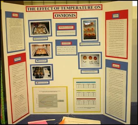 Example Science Fair Projects Page 1 Science Fair Projects Biology