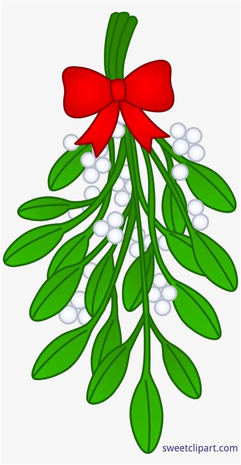 Mistletoe Vector Christmas Tree Mistletoe Clipart Free Free