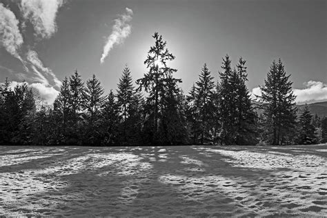 Winter Landscape 365 317 Photograph By Inge Riis Mcdonald Fine Art