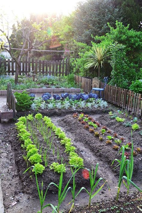 Vegetable Garden Layout Plans And Spacing App Gardenbz