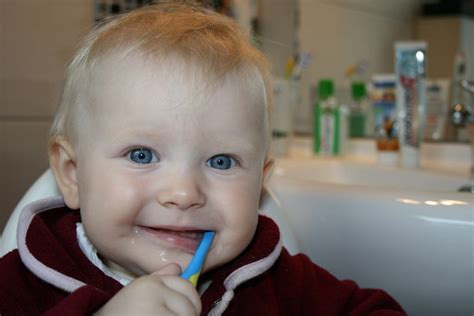 ¿cómo Crear El Hábito Del Cepillado Dental En Niños