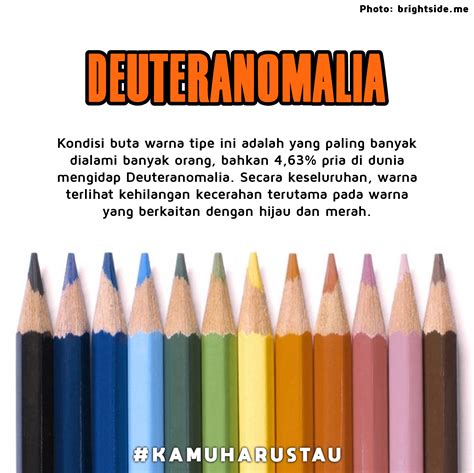 Macam Macam Warna Gold Velg / Macam Macam Cat Warna Biru : Segalanya tidak ada berwarna tapi