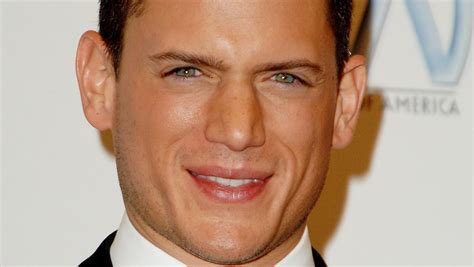 Wentworth Miller Reveals That Hes Gay