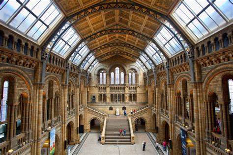 Museo Di Storia Naturale Di Londra Corridoio Centrale Immagine Stock