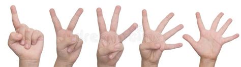 One To Five Fingers Count Hand Gesture Isolated Stock Image Image Of