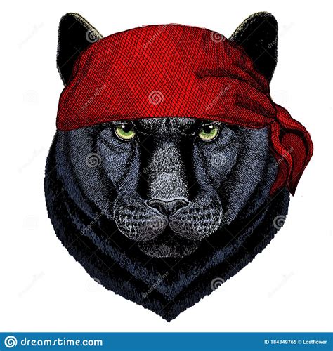 Puma De Pantera Negra Cabeza De Animal Retrato De Gato Salvaje