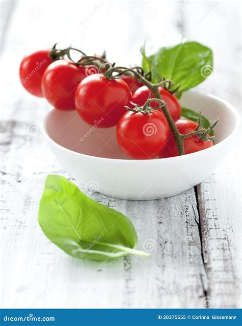 Tomatoes And Basil Stock Image Image Of Cherry Fresh 20375555