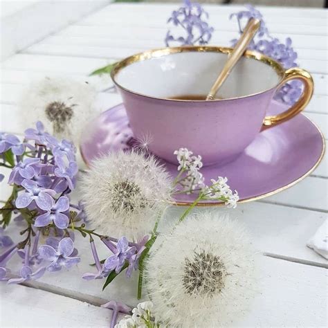 Purple Tea Aesthetic