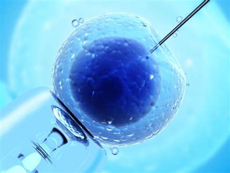 Artificial Insemination What Is It Because It Is Used Benefits