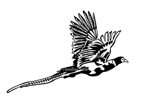 Bird Pheasant Clipart Vector Graphic Art Artwork Pheasant Svg Png