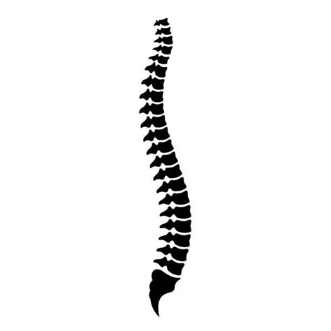 580 Cartoon Of A Spinal Cord Injury Illustrations Royalty Free Vector