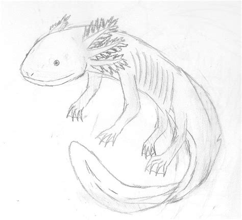 Axolotl D In 2024 Sketchbook Art Inspiration Girly Art Sketches
