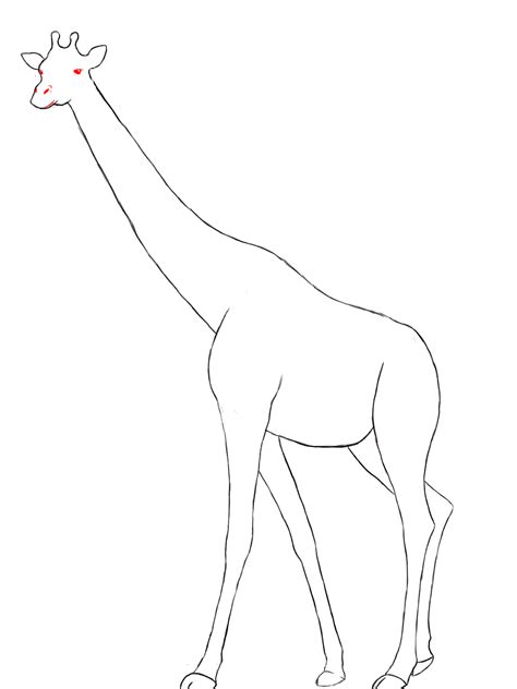 How To Draw A Giraffe Draw Central