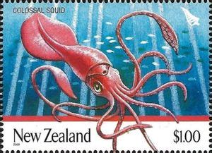 Sello Colossal Squid Mesonychoteuthis Hamiltoni Nueva Zelanda