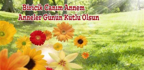 Kayınvalideye atılabilecek anneler günü mesajları örnekleri buradadır. En Güzel Anneler Günü Mesajları 2020| Anneler Günü ...