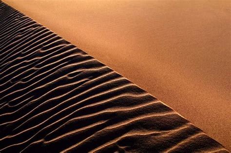 Acariciando El Desierto Fascinantes Imágenes De Patrones Impresos En