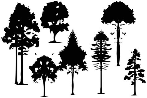 Trees And Forest Silhouettes Set Isolated Vector Illustration 20920080