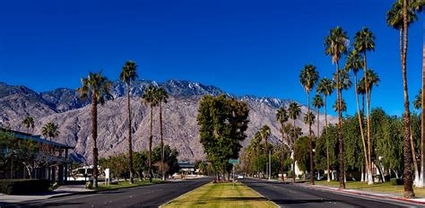 Palm Springs California Trees · Free Photo On Pixabay