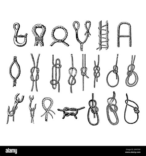 Set Of Rope Icons Hand Drawn Vector Illustration Isolated On White