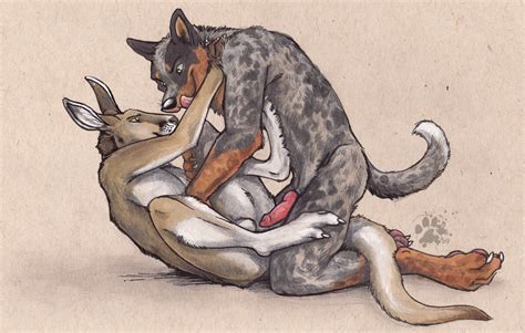 Rule 34 Anthro Blotch Canine Canine Penis Fur Furry Furry Only Gay