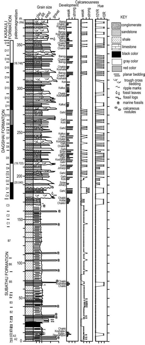 Composite Geological Section Of Early Cenozoic Sedimentary Rocks Of