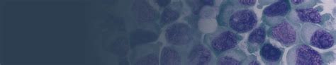 Derived from cervical carcinoma from henrietta lacks. German Collection of Microorganisms and Cell Cultures GmbH ...