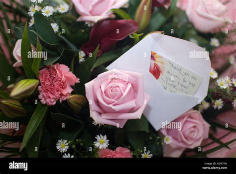 Safeer Desta Thank You Note Flowers After Surgery 90 Thank You