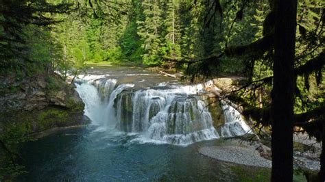 Lower Falls Campground Fort Pinchot National Forest Washington