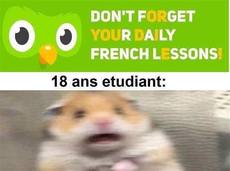 Memes Scary Duolingo Owl 30 Duolingo Memes So Funny They Will Make