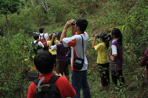 Highland Birding Sarawak Birdwatching In Bakelalan Ii