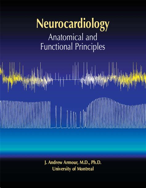 Pdf Neurocardiology Anatomical And Functional Principles Jaime