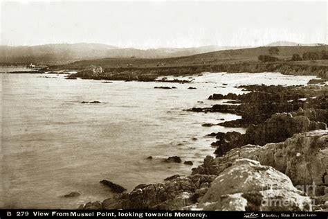 View From Mussel Point New Monterey Looking Towards Monterey 1880