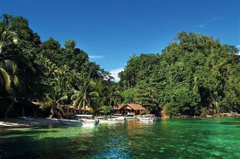 Pulau Terluar Indonesia Ini 5 Fakta Unik Dari Pulau Wetar