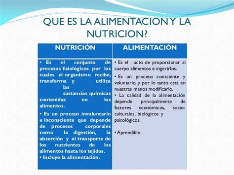 Nutricion Y Alimentacion Curso Taller