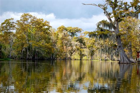 Here you find 8 meanings of the word foreplay. Bayou - Wikipedia