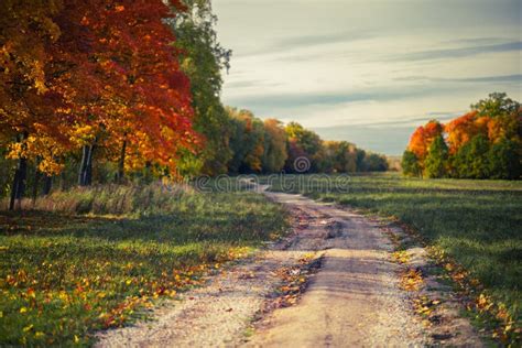 Autumn Dirt Road Among Trees With Yellow Leaves Stock Photo Image Of