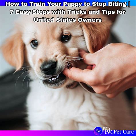 How To Train Your Puppy To Stop Biting 7 Easy Steps With Tricks And
